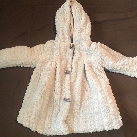 American Widgeon - Picture 1 of 6